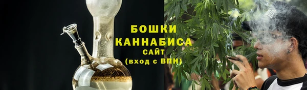 прущие грибы Краснотурьинск