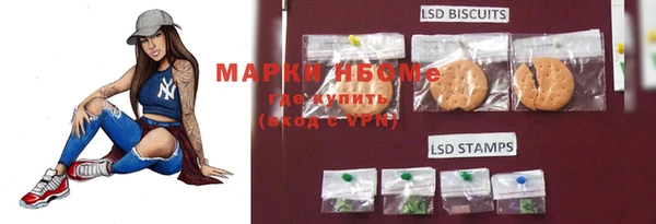 дживик Зеленокумск