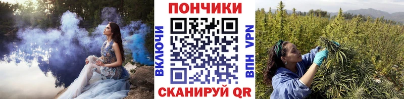сколько стоит  Пикалёво  Бошки марихуана VHQ 